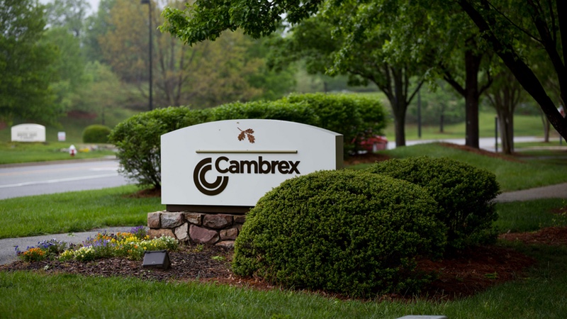 Cambrex创建新的卓越中心