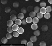 高度定义聚合物释药微球gydF4y2Ba