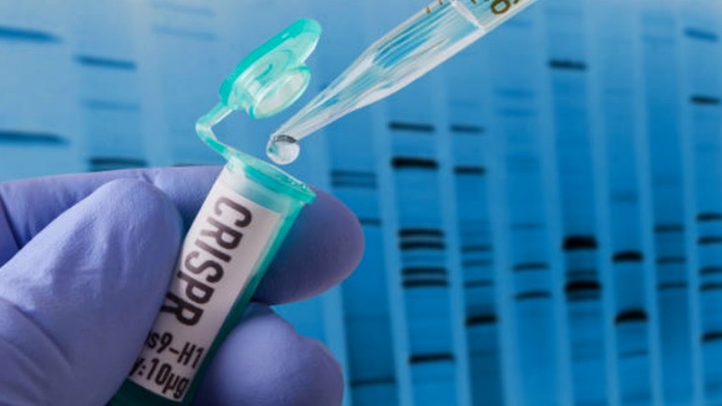 CRISPR基因编辑技术许可延长