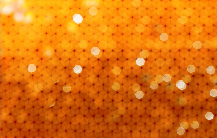 爱思唯尔欢迎六家生物技术和制药初创企业入驻The Hive