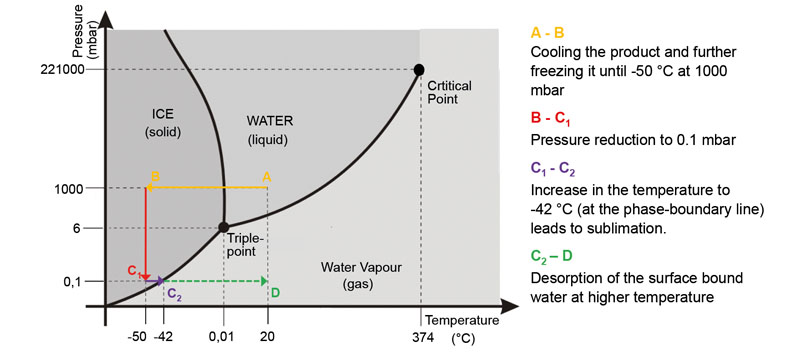 冷冻干燥:产生稳定的多肽