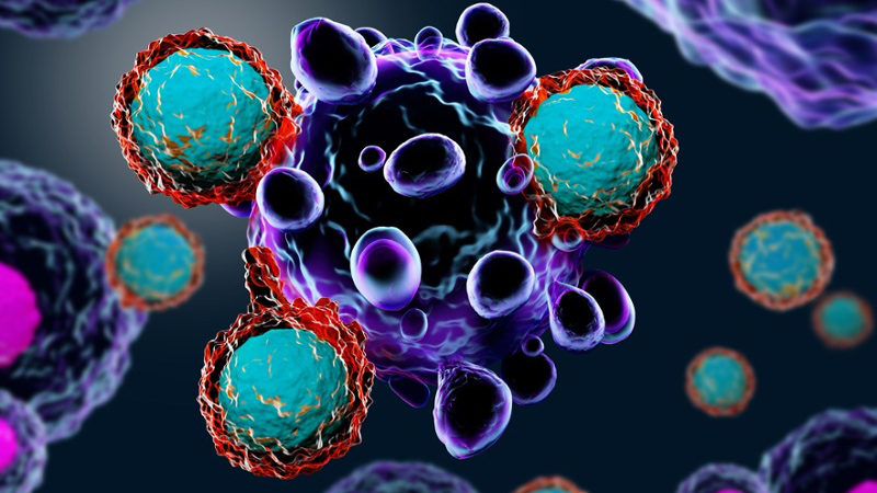 PDX模型将帮助科学家揭示新信息对免疫系统的参与癌症