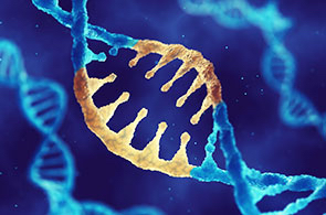 扩大AAV病毒载体生产用于基因治疗的机会