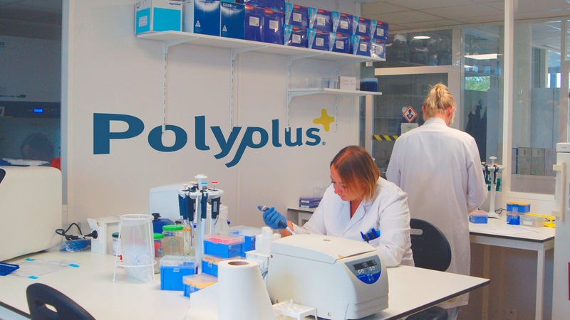 而Polyplus启动病毒载体质粒的转基因工程服务生产