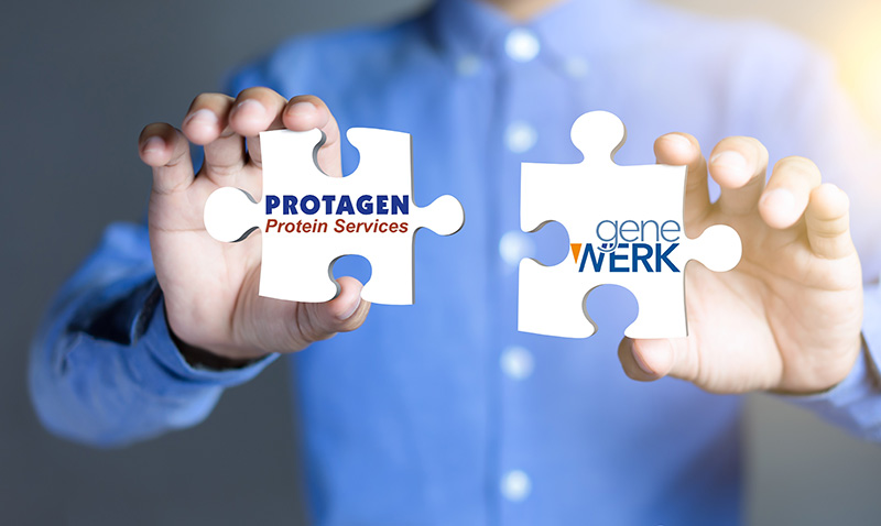 proteagen Protein Services与GeneWerk合并