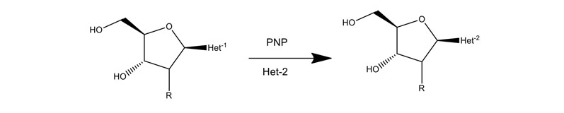 图10:应用PNPs制备核苷