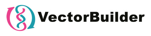 Vectorbuilder公司